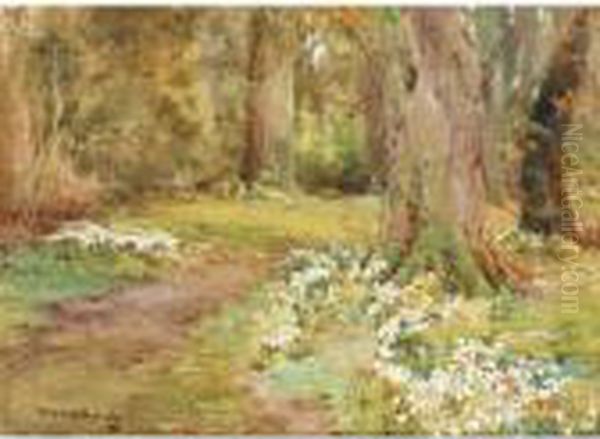 Rites Of Spring - view 1
