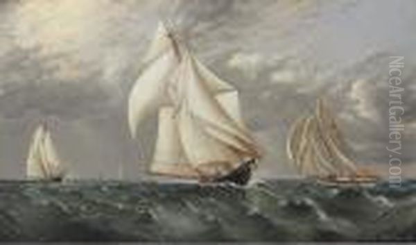 Schooner Race - view 1