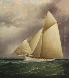 Portrait Of The Volunteer