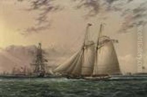 Mr. William Astor's Schooner "ambassadress" Mr. William Astor's Schooner "ambassadress"