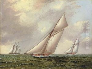 Vigilant Vs. Valkyrie Ii In The 1895 America's Cup