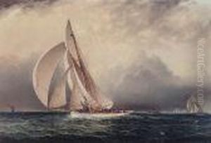 A Race Between "volunteer" And "thistle"