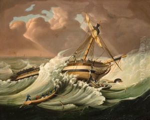 The Rescue