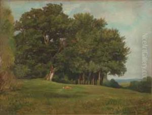 Bovin Dans La Prairie