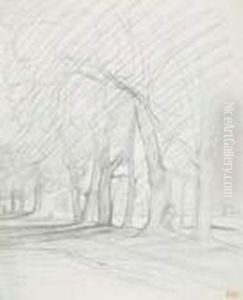 Route Sous Les Arbres Route Sous Les Arbres