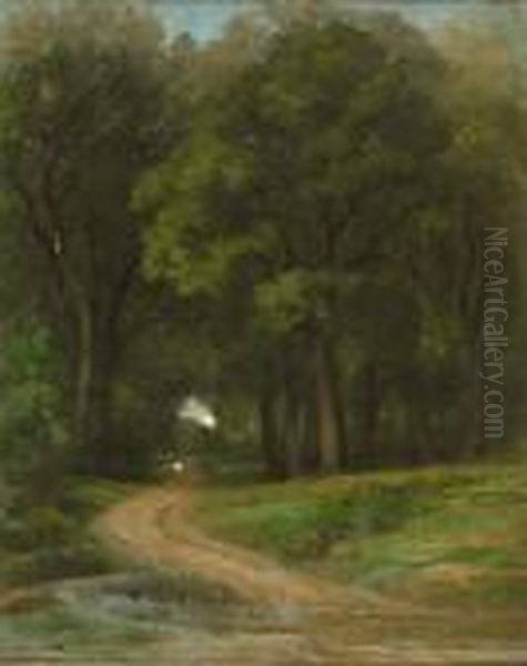 Chemin En Sous-bois - view 1