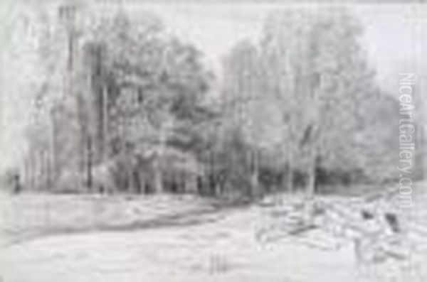 Souches A L'oree De La Foret, 29 Juin 1836 - view 1
