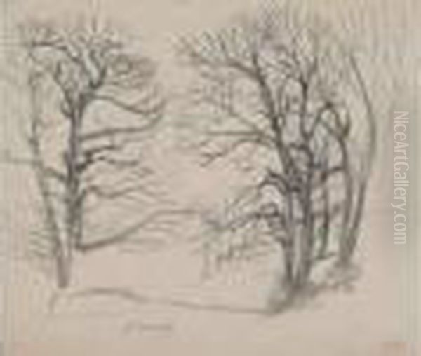 Arbres - view 1