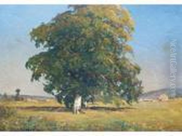 Le Gros Arbre. - view 1
