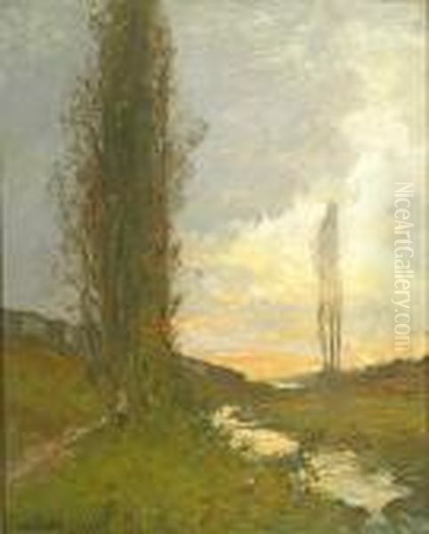 Trees Alongside A Stream At Dusk - view 1