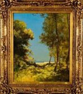 Paysage Aux Grands Arbres Paysage Aux Grands Arbres