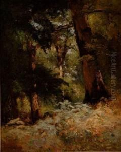 Sous Bois Sur L'ile De Noirmoutier by Louis Alexandre Cabie