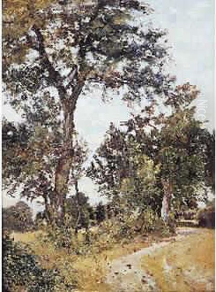 Chemin En Foret - view 1