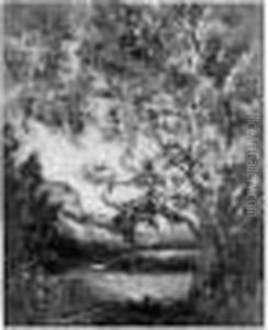 Bie Arbre Pres D'un Etang