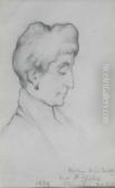 Madame Etienne Mallet - view 1