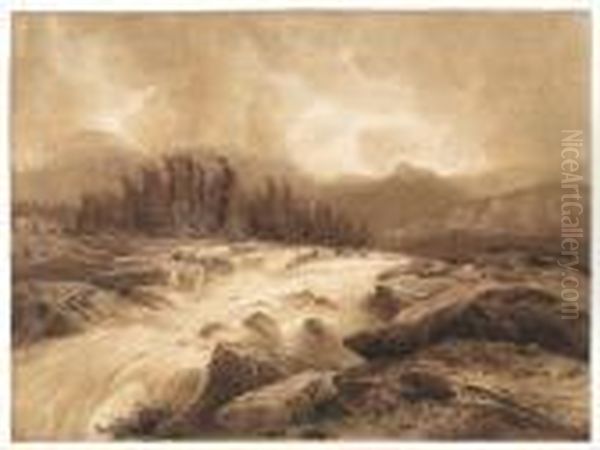 Torrent De Montagne - view 1