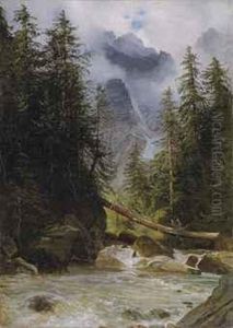Torrent De Montagne Borde De Sapins