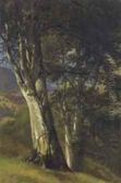 Arbres - view 1