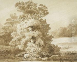 Study Of A Tree Study Of A Tree