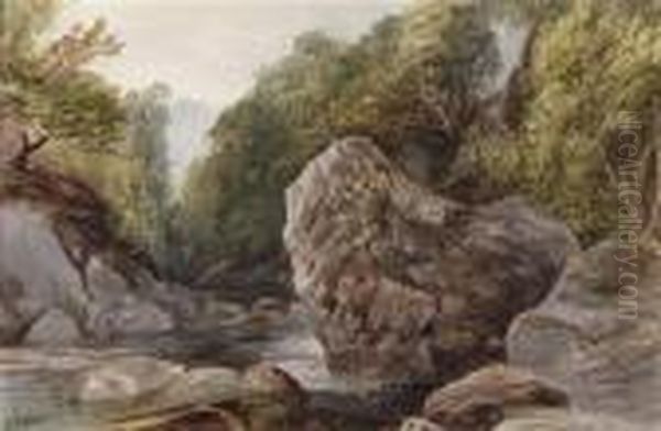 Flusbiegung Mit Felsen Und Baumen - view 1