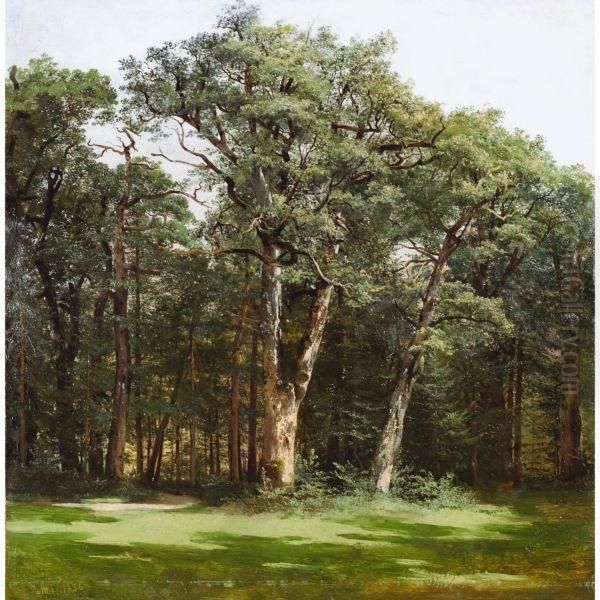 Arbres - view 1
