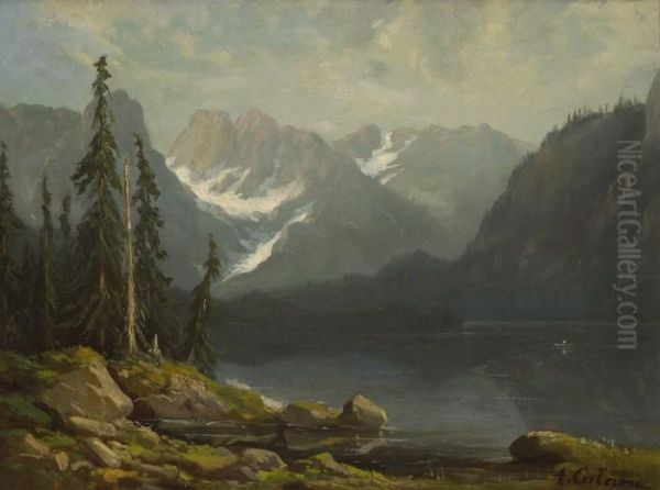 Gebirgssee - view 1