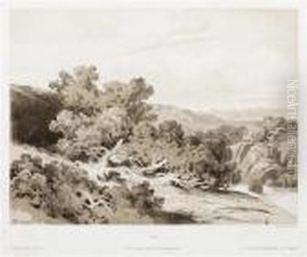 Pins Rampants Des Alpes - view 1