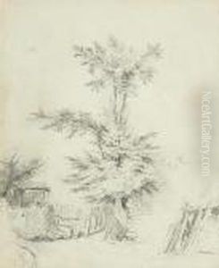 Tree In Front Of A Gate