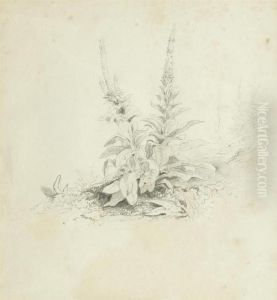 Plant Study