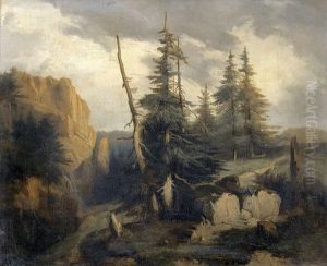Felsige Gebirgslandschaft Mit Tannen