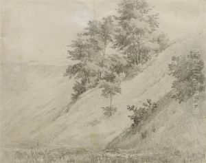 Baume Und Straucher An Einem Abhang by Alexandre Calame