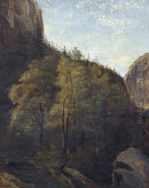 Bois Et Falaises - view 1
