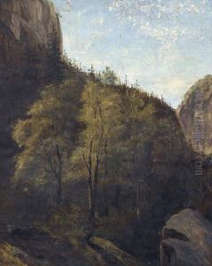 Bois Et Falaises