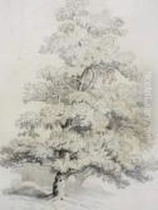 Arbre by Alexandre Calame