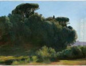 Bosquet D'essences Diverses Dont Des Pins Parasols Et Petit Etang Bosquet D'essences Diverses Dont Des Pins Parasols Et Petit Etang