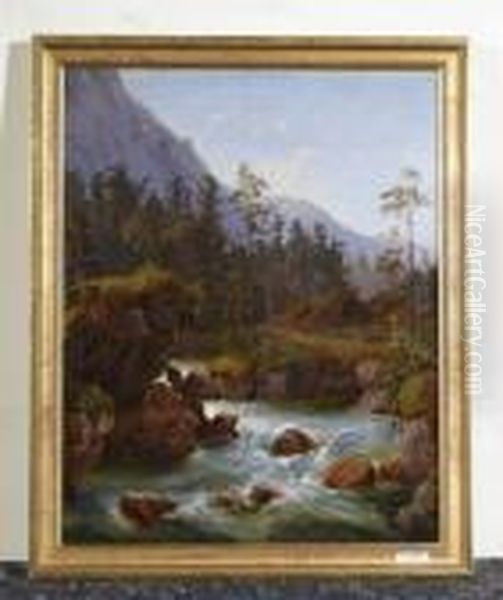 Flusslandschaft. - view 1