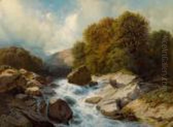 Wildbach. - view 1