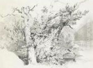 Arbres, Lac Et Bateau by Alexandre Calame