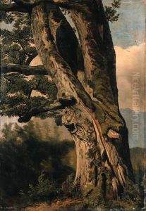 Baum by Alexandre Calame