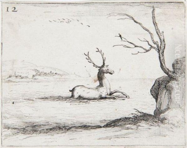 Cerf Dans L'eau - view 1
