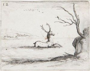 Cerf Dans L'eau
