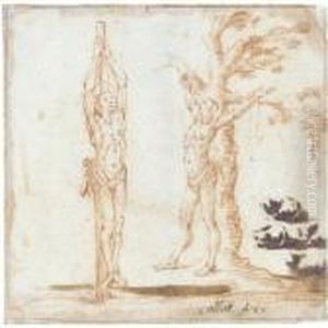 Studies For Figures Of Saint Sebastian And Saint Bartholomew And Of Cats by Jacques Callot
