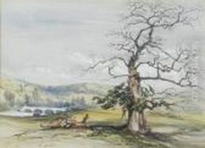 Landscape In Stafford