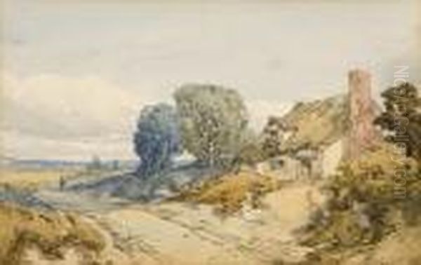 Country Lane With Cottage - view 1