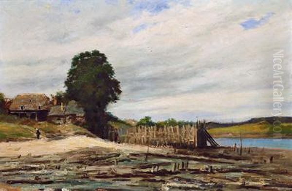 Sumpfiges Seeufer - view 1