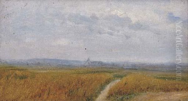 Un Chemin A Travers Les Champs - view 1