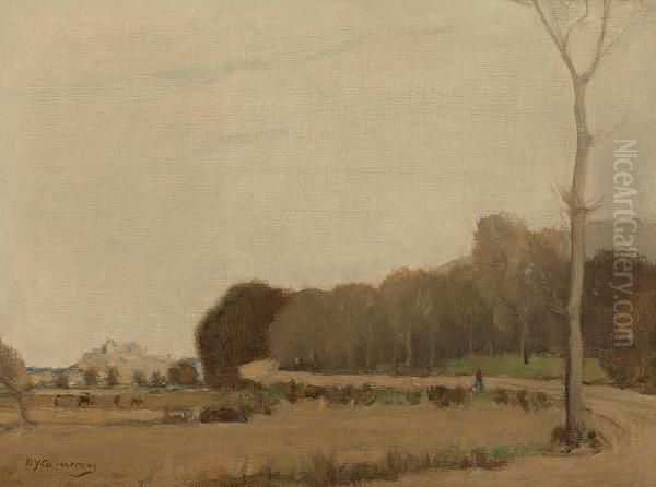 The Winding Road, Stirling - view 1