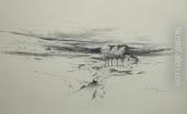 In Perthshire - view 1