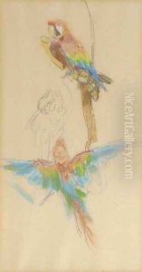 Colourful parrots from Artis Zoo by Isaac Lazarus Israels