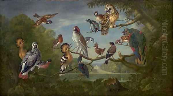 A concert of birds - view 1